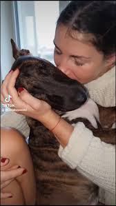 just love ❤️, 📸 #instagram follow @phoebe_s.world , follow us @  phoebe_s.world and #phoebesworld or #pipimausi to feature 📸, 💝TURN ON  POST NOTIFICATIONS, TO SEE OUR UPDATE! 💝, "If you are the owner ...