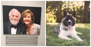 Give your dog or cat the royal treatment! Ohio Couple Opens Shelter To Save Dogs The Animal Rescue Site News