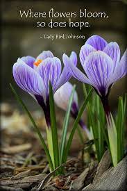 Maybe you would like to learn more about one of these? Where Flowers Bloom So Does Hope Photograph By Anita Hiltz