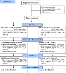 schematic chart of the process of the clinical trial