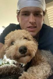 What are some available rooms or apartments for rent in Austin, TX, for a  young professional?