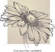 29 disegni fiori da colorare. Risultati Immagini Per Fiori Disegni A Matita Fiori Disegnati A Matita Disegno Fiori Illustrazioni