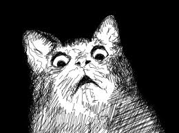 [Image: images?q=tbn:ANd9GcROtNQ2g6jlx7dkdE6kRcX...nedl_URyiQ]