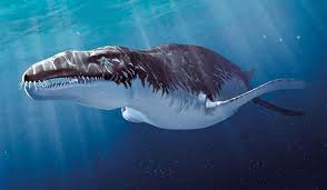 Ocean creatures animals wild extinct animals creatures animals animal wallpaper pictures weird animal facts extinction. Ten Exquisite Creatures That Once Roamed The Earth At The Smithsonian Smithsonian Magazine
