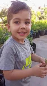 The hardworking student Mohammad Ghaddar names the parts of a plant., Well  done Mohammad!