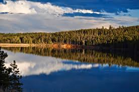 Some sites have great views of the lake. Red Feather Lakes Camping 8 Campgrounds And Cabins Insider Families