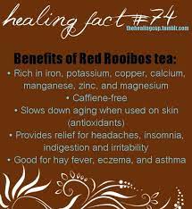 Whats All The Fuss About Rooibos Tea Benefits Rooibos Tea Benefits Drinking Tea