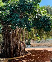 CONTRIBUTORS REPORT 2022