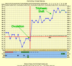 Early Pregnancy Bbt Chart Pregnant Www Bedowntowndaytona Com