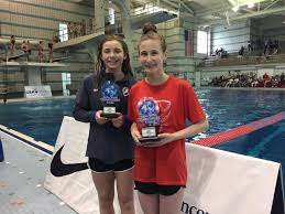 Hailey rosanne hernandez (born march 23, 2003) is a female diver from the united states. Usa Diving On Twitter Hailey Hernandez Qualifies For Jr Worlds On Another Event After Winning Group B Platform At Jrworldtrials Daryn Wright Also Makes The Team After Placing Second Https T Co Xkrodkvfw0