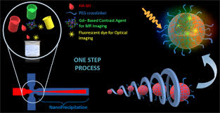 We did not find results for: A Microfluidic Platform To Design Multimodal Peg Crosslinked Hyaluronic Acid Nanoparticles Peg Chanps For Diagnostic Applications Scientific Reports
