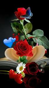 Pin By Bonnie Munoz On Fleurs Beautiful Flowers Wallpapers Flower Phone Wallpaper Beautiful Rose Flowers