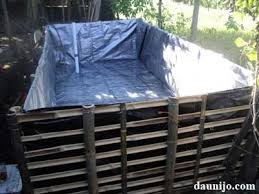 Budidaya Lele Cara Membuat Kolam Terpal Lele