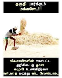 Pin By A Murali On Vasu Chittoor Tamil Touching Quotes Picture Quotes Good Morning Quotes