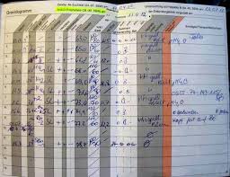 Ihr solltet ihn für notfälle immer bei euch tragen. Berlinstadtbaby Mutterpass