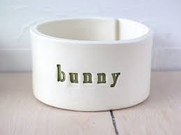 1pc ceramics rabbit salad food bowl adorable kids cartoon bowl children dishes children eating dinnerware kitchen tableware. Pin On Pet Ideas