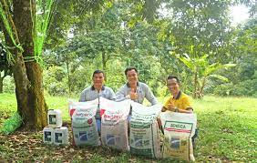 Dec 12, 2017 · ramai yang tanya baja jenis apa yang sesuai digunakan supaya pokok seperti durian cepat membesar dan berbuah. Pilih Untuk Guna Formula Baja Durian Premium Tidak Terkesan Dengan Impak Cuaca Buruk Agrobridge