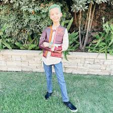 Image result for Disa zombica