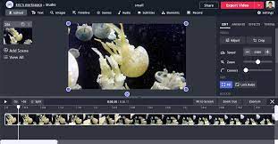 Here is a list of best free lyric video maker software for windows. Video Maker Make Video Online Kapwing