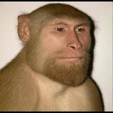 En #Querétaro, y en todo el país, recorremos las carreteras federales con  el objeto de brindarte seguridad en tu camino. #PorMéxicoSiempreEnGuardia