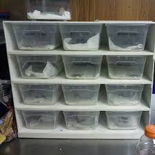 The businesses listed also serve surrounding cities and neighborhoods including saint augustine fl, saint johns fl, and jacksonville fl. The House Of Reptiles Pet Store In Jacksonville