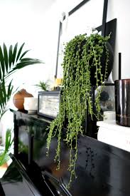 Wohnblog Wohnideen Dekoideen Einrichtungsideen Einrichten Wohnen Mit Ikea Dekoration Styling Interior Diy Einrichtungsberatung