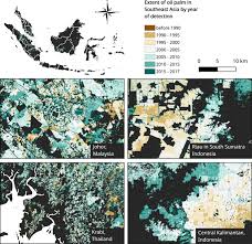 Maybe you would like to learn more about one of these? A Map Of The Extent And Year Of Detection Of Oil Palm Plantations In Indonesia Malaysia And Thailand Scientific Data