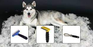 How To Groom Your Dog At Home | Husky Grooming Tips | Forever Husky