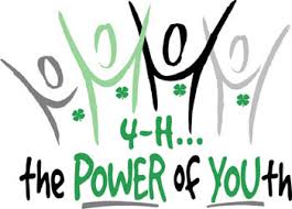 We connect with people in all stages of life, from young children to older adults. Currituck 4 H Clubs North Carolina Cooperative Extension