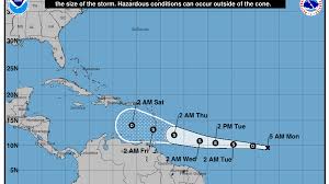 Image result for Tragia kirkiana