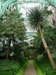 Visite Des Serres Royales De Laeken Belgique Beaux Jardins Jardin D Hiver Et Jardins