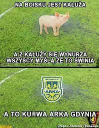 Strona główna humor arka gdynia świnia. Na Boisku Jest Kaluza A Z Kaluzy Sie Wynurza Wszyscy Mysla Ze To Swinia A To Kurna Arka Gdynia Paczaizm Pl