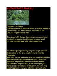 Hutan paya bakau di indonesia amat dikehendaki sebagai kawasan perlindungan termasuklah dengan menggunakan skim ekosistem yang penting, jelas beliau mengenai hutan paya bakau di negara jiran. Hutan Paya Bakau