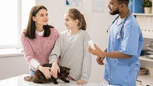 Griseofulvin For Cats Uses Dosage Side Effects Skin Infection Side Effects Cats