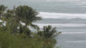 Tsunami watch canceled for hawaii following large earthquake off new zealand. Tsunami Warning Issued For Hawaii After 8 1 Magnitude Earthquake Hits New Zealand Thehill