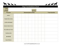 printable dog vaccination chart