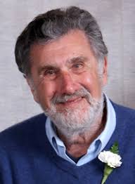 Aronson, Palca win Social Sciences division awards