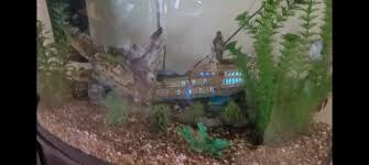 Free uk delivery on eligible orders Top Fin Ship With Led Light Bubbler Aquarium Ornament Fish Ornaments Petsmart
