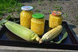 Frischen mais schälen und die weißen fäden entfernen. Mais Kochen In Nur 10 Minuten Mach Dir Einen Vorrat Fur Den Winter Haus Und Beet