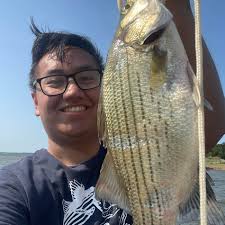Creek chub fishing for salmon and trout