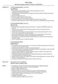 junior programmer resume samples