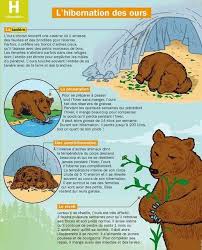 Epingle Par Mary Cole Sur Mon Quotidien Culture G Nom Des Animaux Sciences Animales Animaux