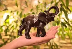 Image result