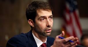 Sen. Cotton rips Booker for Sessions testimony