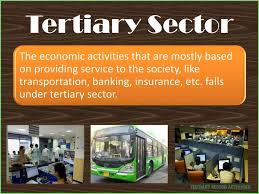The term tertiary economic activity typically refers to the service sector; Seven Taboos About Tertiary Sector Activities You Should Never Share On Twitter Tertiary Sector Activities Https Macr Activities Uk Education National Life