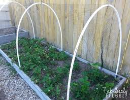Bird Netting For Garden Near Me Fabulessly Frugal Sitemap Fabulessly Frugal Bird Netting Garden Netting Garden Beds