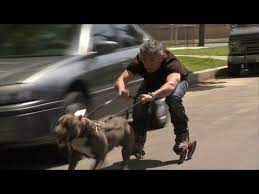 Pet owners across america need help more than ever. Pin On People I Admire
