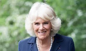 Queen Camilla: Duchess of Cornwall should NOT take title