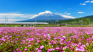 Mount Fuji Day Trip Do It Yourself From Tokyo Japan Rail Pass Now Usa