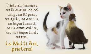 Prietena mea dragă, fie ca de ziua ta să ți se îndeplinească toate dorințele tale și sa fii sănătoasă. Mesaje De La Multi Ani Pentru Cea Mai Buna Prietena